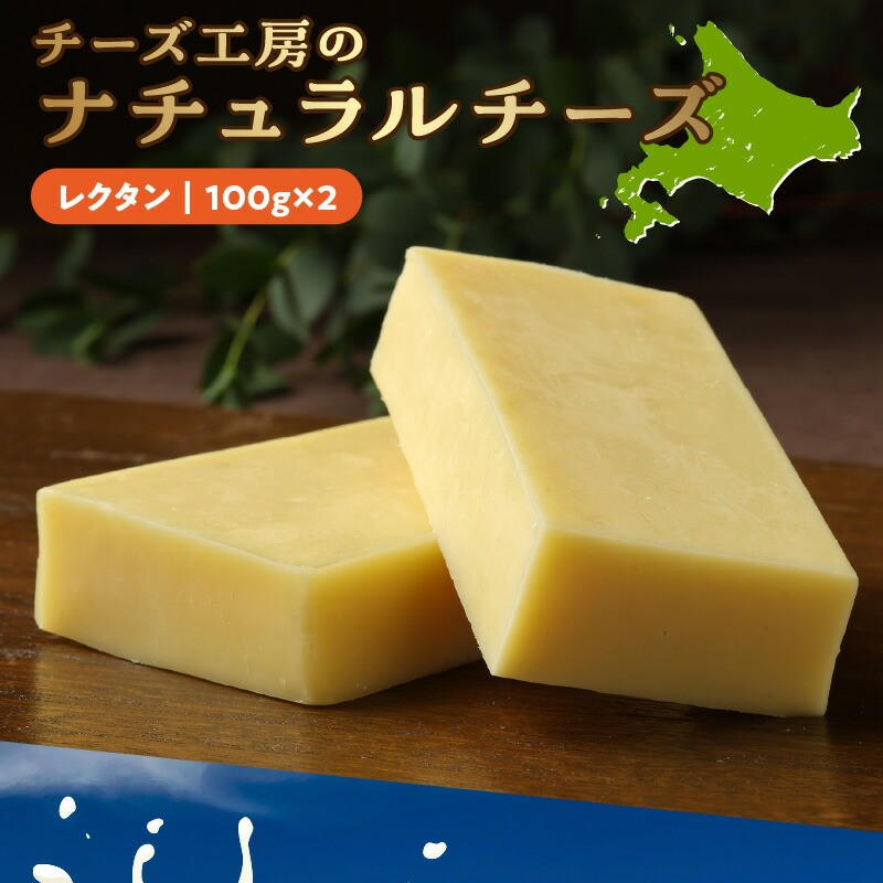 【おおともチーズ工房】レクタンチーズ100g×2個_H0003-149