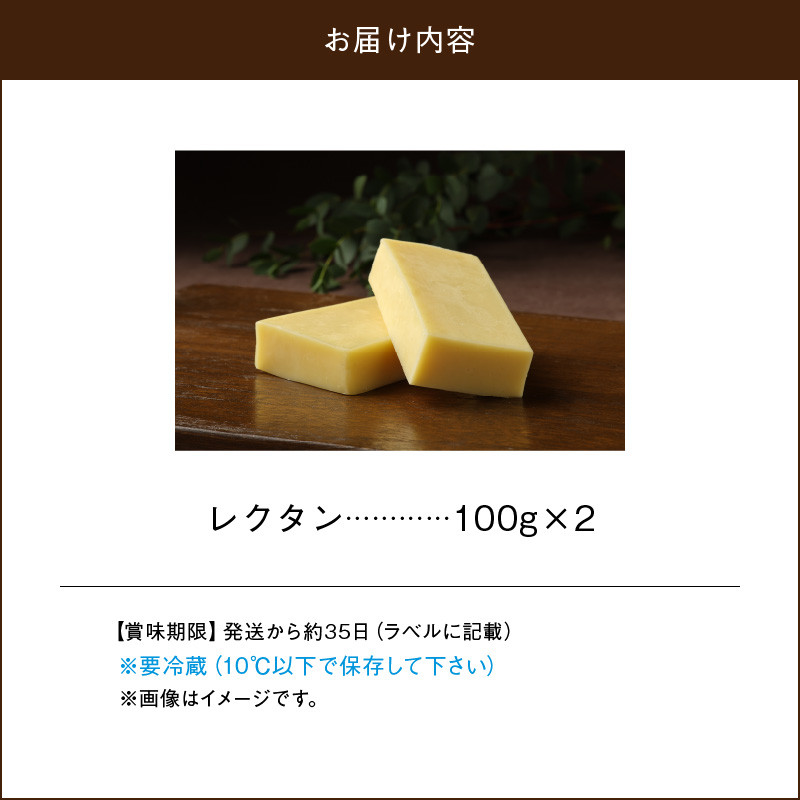 【おおともチーズ工房】レクタンチーズ100g×2個_H0003-149