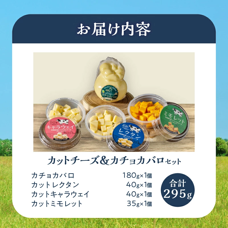 【おおともチーズ工房】《おつまみ＆お料理に!!》カットチーズ＆カチョカバロセット_H0003-157