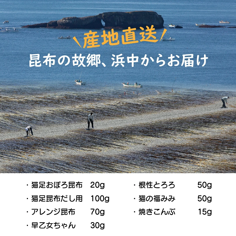まるごと昆布セットA_H0005-100