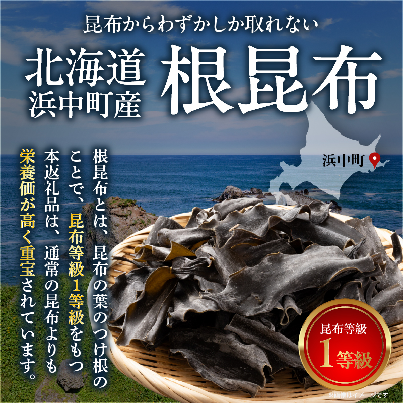 《数量限定》根昆布（100g×6袋）_H0007-114
