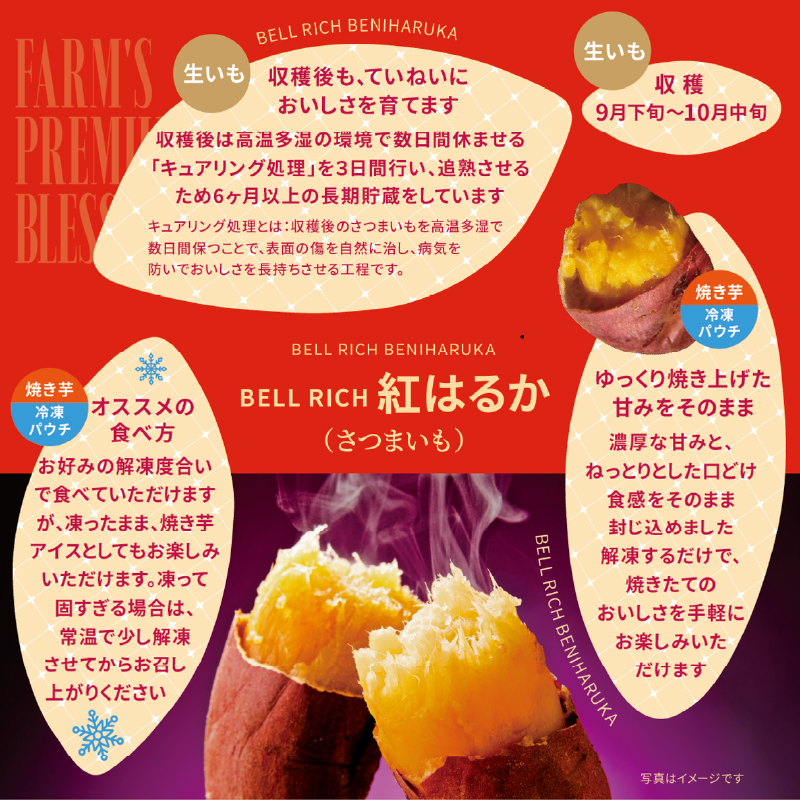 【容量が選べる】紅はるかの冷凍焼き芋_H0049-103-SKU