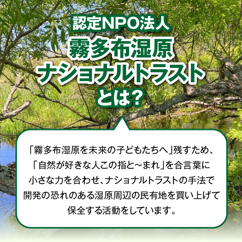 【寄附額が選べる】霧多布湿原を中心とする環境保全活動への寄附 返礼品なし_H0027-001-SKU