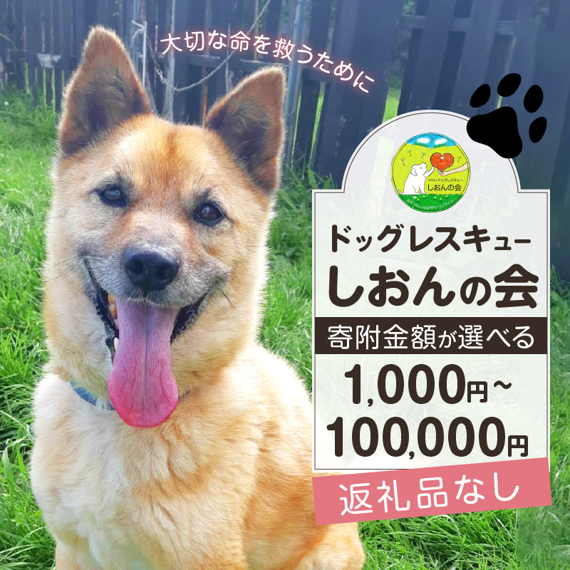 【寄附額が選べる】【野犬の保護活動】浜中町「ドッグレスキューしおんの会」を支援 返礼品なし_H0039-001-SKU