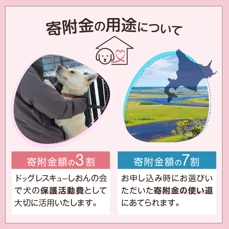 【寄附額が選べる】【野犬の保護活動】浜中町「ドッグレスキューしおんの会」を支援 返礼品なし_H0039-001-SKU