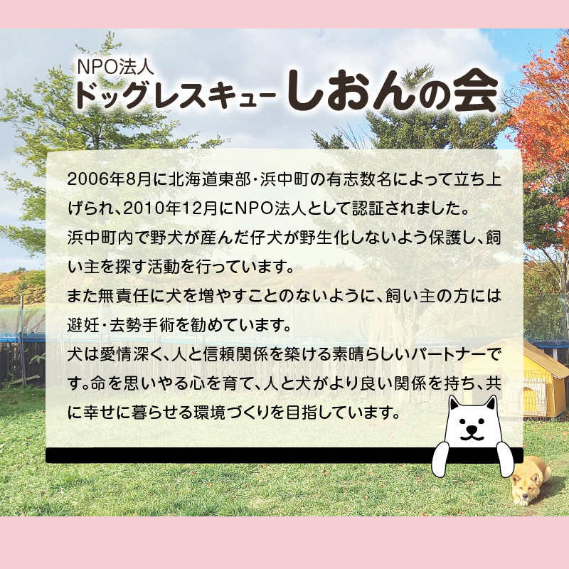 【寄附額が選べる】【野犬の保護活動】浜中町「ドッグレスキューしおんの会」を支援 返礼品なし_H0039-001-SKU