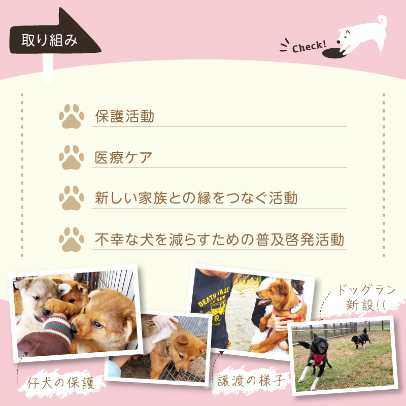 【寄附額が選べる】【野犬の保護活動】浜中町「ドッグレスキューしおんの会」を支援 返礼品なし_H0039-001-SKU