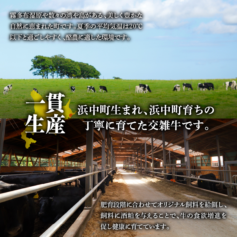 北海道浜中黒牛肩ロース(すき焼き用)約500g_H0019-104