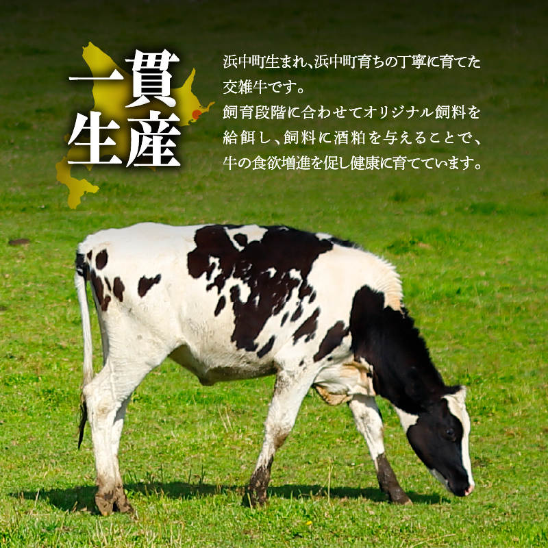 北海道浜中黒牛サーロインステーキ3枚(約510g)_H0019-105
