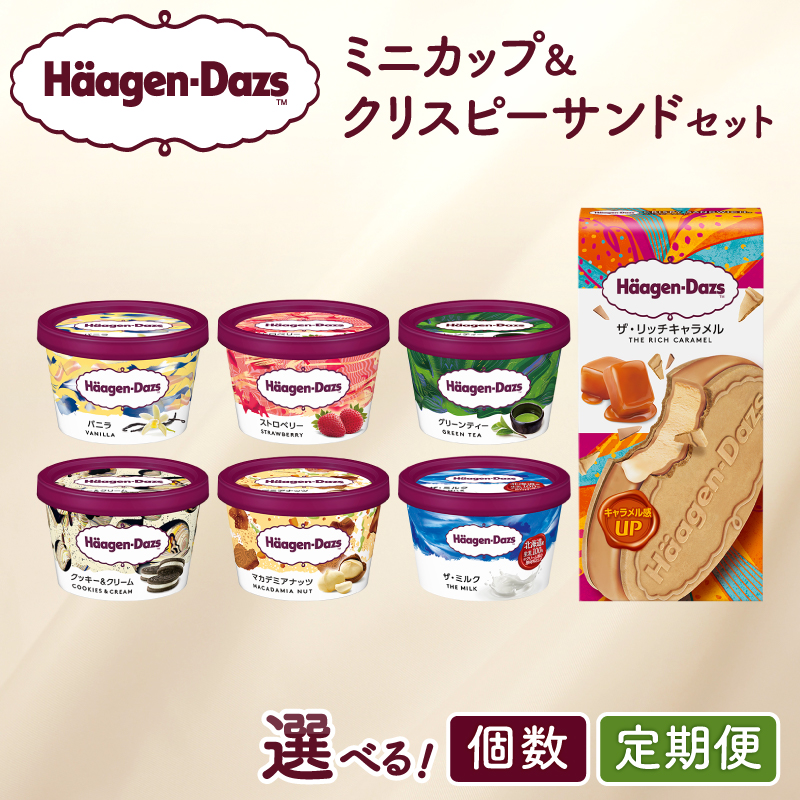 【個数と定期便が選べる!!】ハーゲンダッツ『ミニカップ＆クリスピーサンド ザ・リッチキャラメル』アイスクリーム_H0016-121-SKU