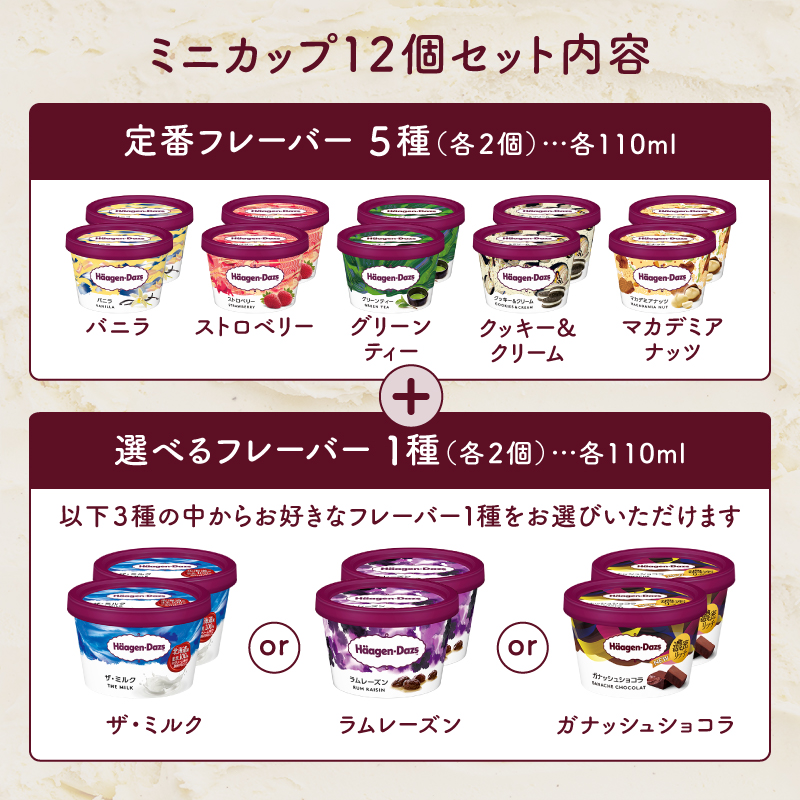 【3種類から1種選べる!!】【着日指定可】 ハーゲンダッツ『ミニカップ12個セット(定番フレーバー&選べるフレーバー)』 _H0016-114-SKU