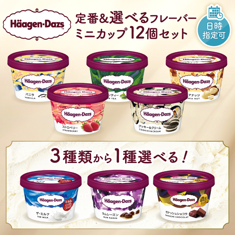 【3種類から1種選べる!!】【着日指定可】 ハーゲンダッツ『ミニカップ12個セット(定番フレーバー&選べるフレーバー)』 _H0016-114-SKU