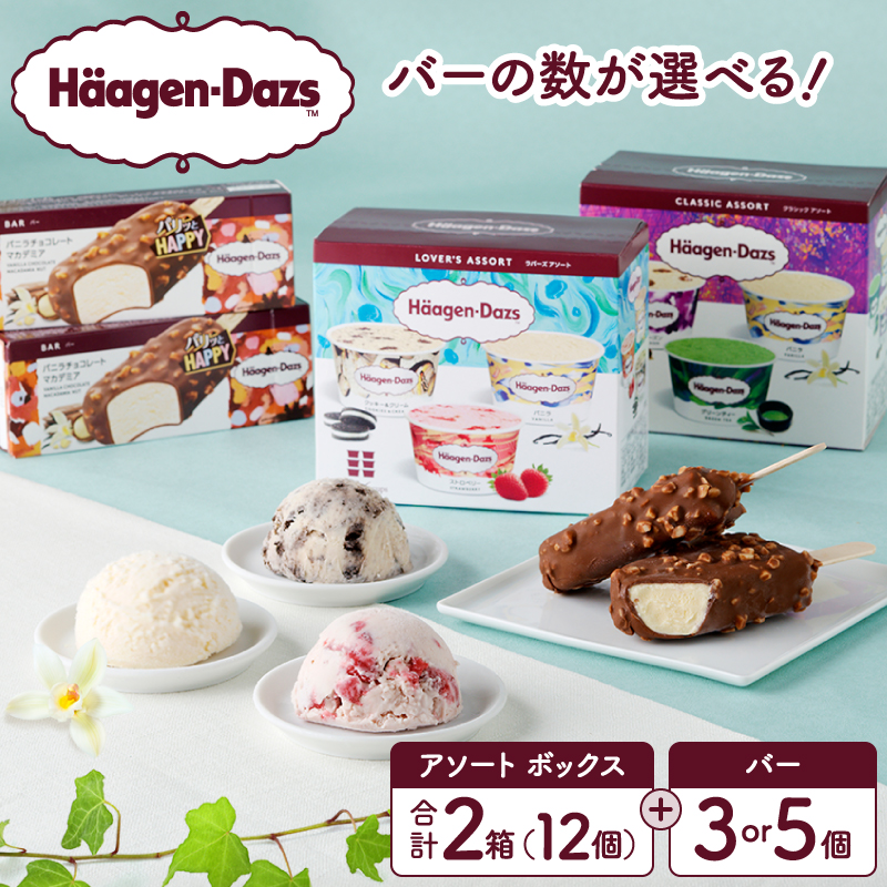 【バーの数が選べる!!】ハーゲンダッツ バラエティセット(アソート＆バー)_H0026-100-SKU