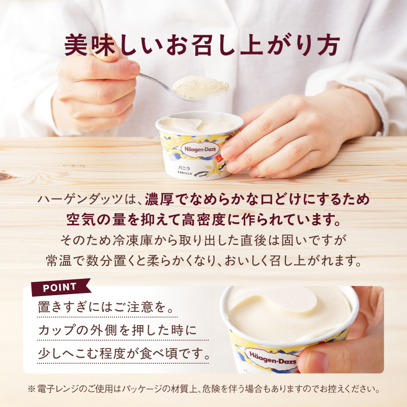 ハーゲンダッツバラエティセット(アソート&バー2本&ミニカップ2個) _H0016-105