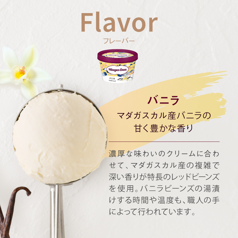 【個数が選べる!!】ハーゲンダッツ『ミニカップセット(バニラ味)』_H0016-106-SKU