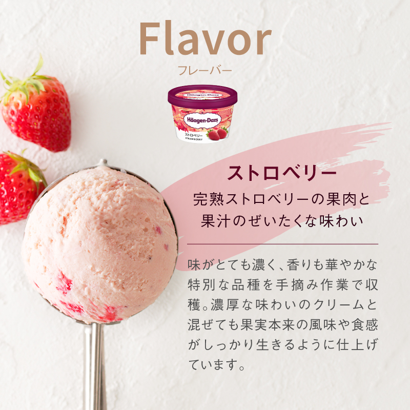 【個数が選べる!!】ハーゲンダッツ『ミニカップ6個セット(ストロベリー味)』_H0016-107-SKU