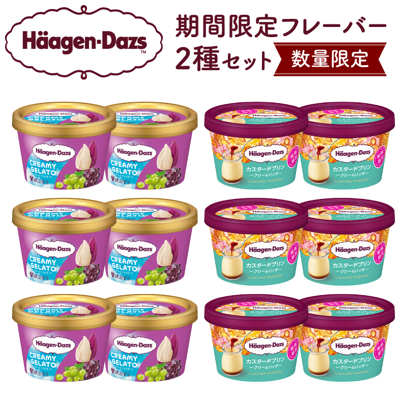 【数量限定】ハーゲンダッツ アイスクリーム ミニカップ 12個 （CREAMY GELATO 贅沢ぶどう＆カスタードプリン）_H0016-168