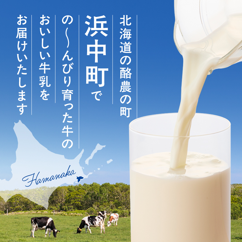 【発送回数が選べる】北海道4.0牛乳(1,000ml×2本)_H0016-039