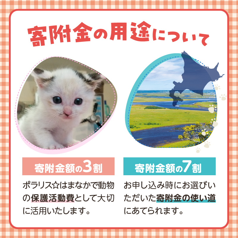 【寄附額が選べる】【動物愛護ボランティア】浜中町「ポラリス☆はまなか」を支援 返礼品なし_H0048-001-SKU