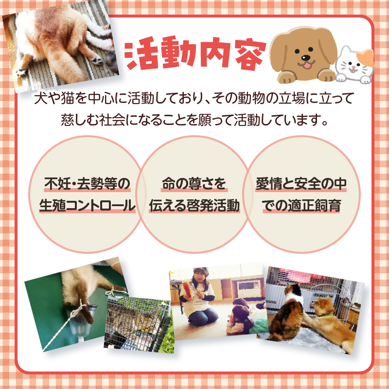 【寄附額が選べる】【動物愛護ボランティア】浜中町「ポラリス☆はまなか」を支援 返礼品なし_H0048-001-SKU