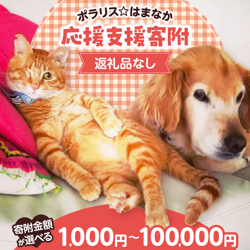 【寄附額が選べる】【動物愛護ボランティア】浜中町「ポラリス☆はまなか」を支援 返礼品なし_H0048-001-SKU