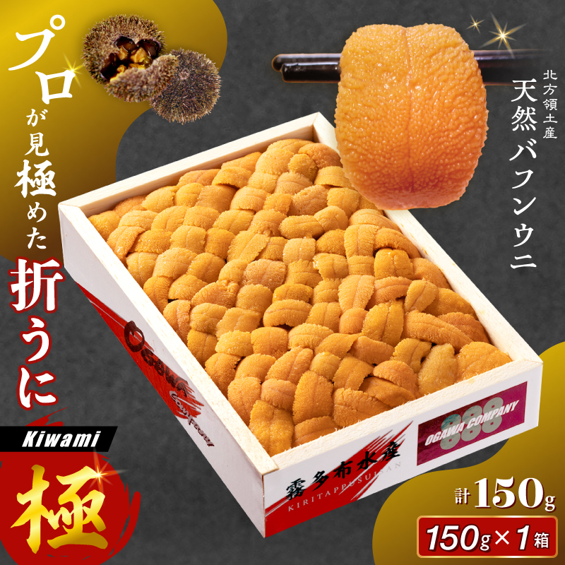 【内容量が選べる】≪プロ厳選≫最高級折うに(極)150g～600g うに ウニ 雲丹 折うに 海鮮 海産物 北海道 浜中町 ふるさと納税 人気_H0014-146-SKU