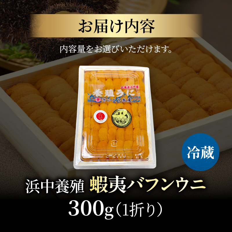 ≪浜中養殖≫蝦夷バフンウニ(300g)折箱入り_H0038-106