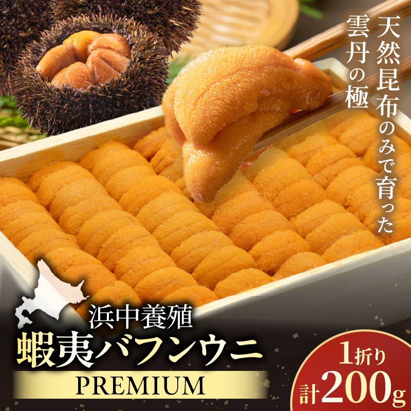 ≪浜中養殖≫蝦夷バフンウニ(200g)折箱入り_H0038-107
