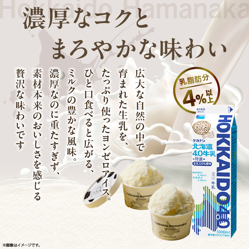 【タカナシ北海道4.0牛乳使用!!】ヨンゼロアイス(12個)_H0010-108