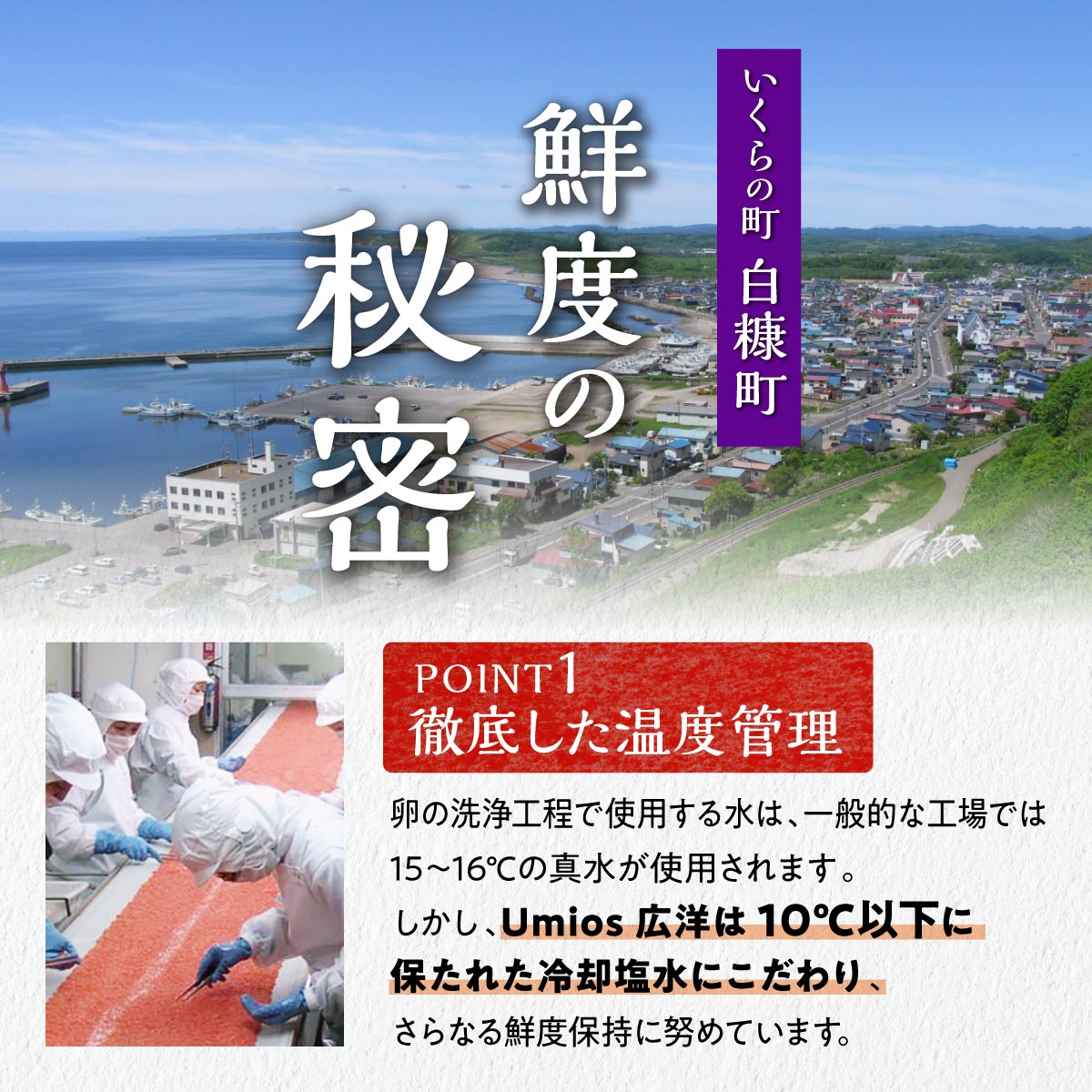 いくら醤油漬 鮭卵