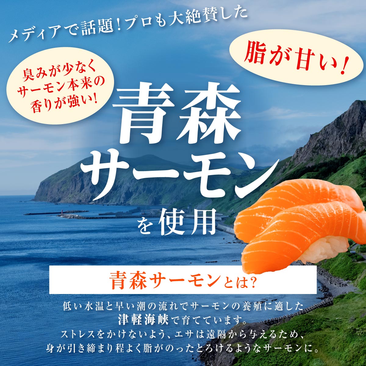 国産トラウトサーモン【800g】