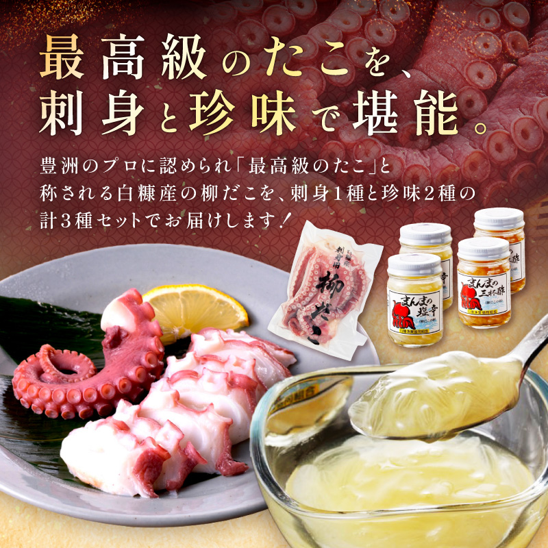しらぬか産柳だこ（600g）と珍味（まんまの三杯酢・まんまの塩辛）の計3種セット