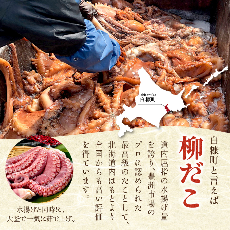 しらぬか産刺身用柳だこ【1.2kg（600g×2個）】