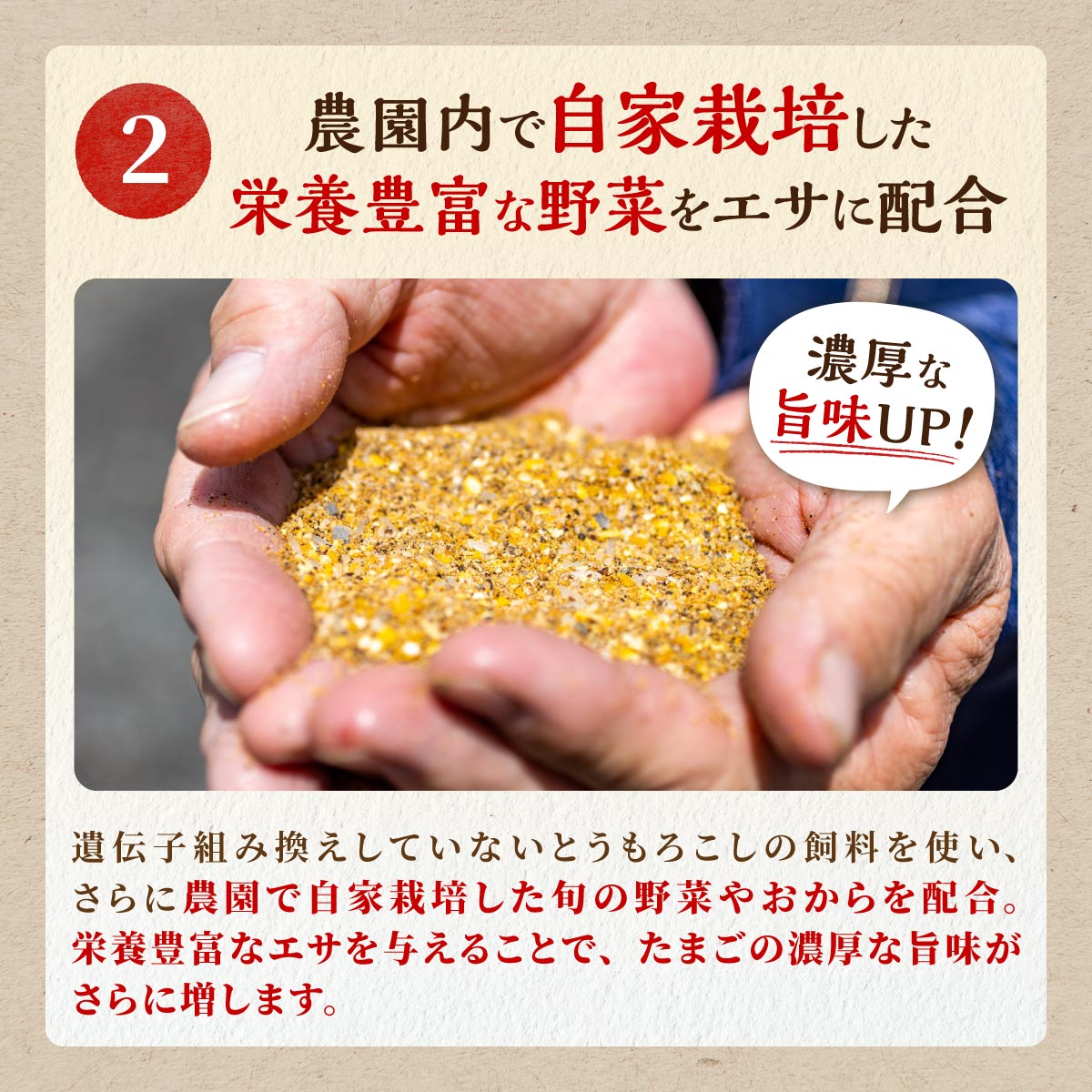 たかはしさんの新鮮たまご30個