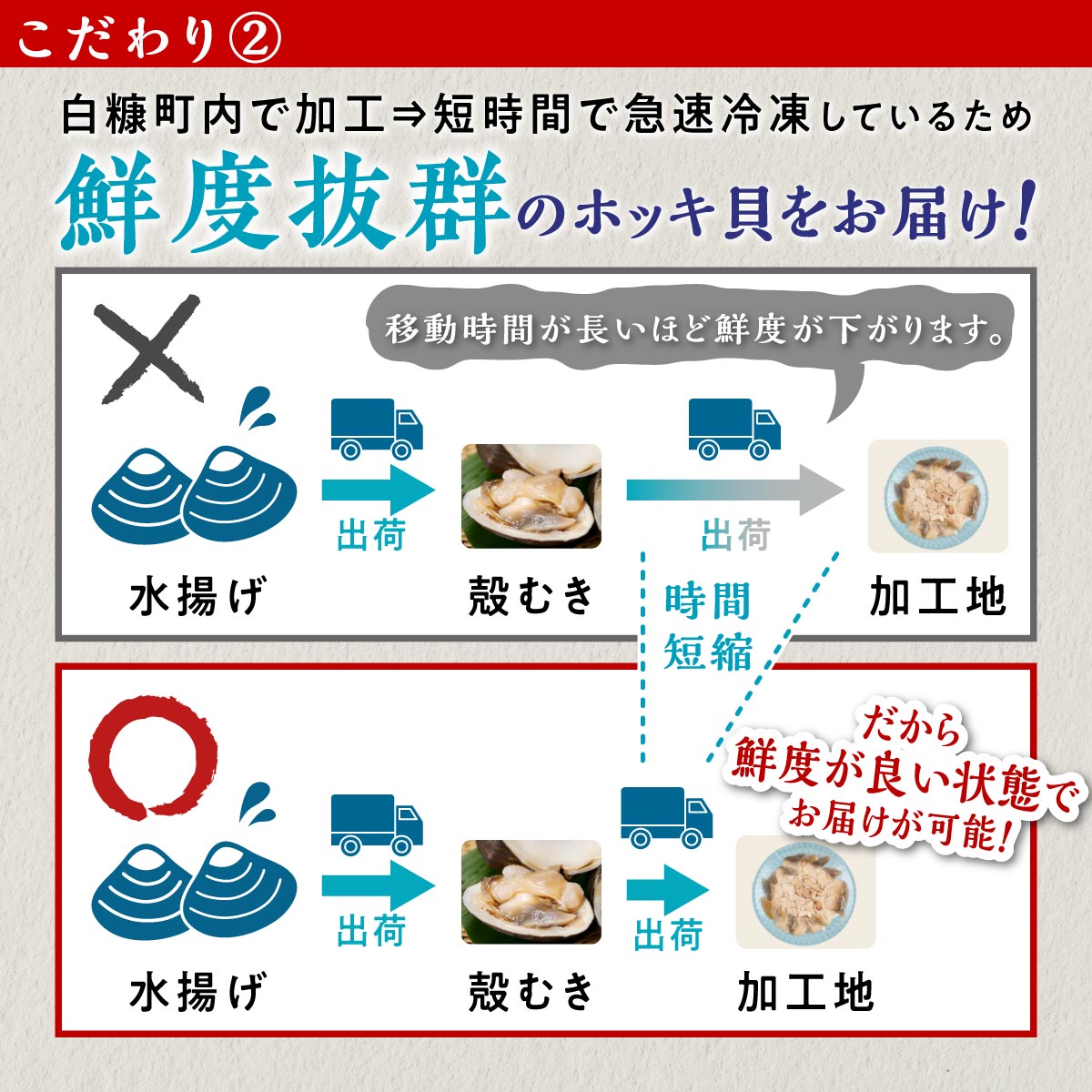 生ホッキ貝ひも