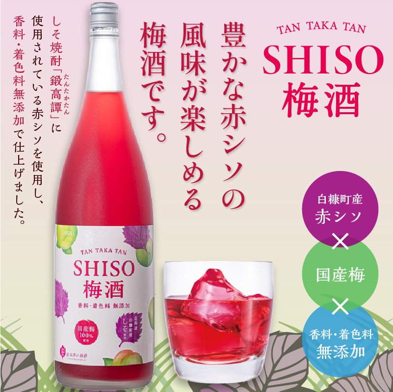 鍛高譚(たんたかたん)の梅酒 1800ml【2本セット】