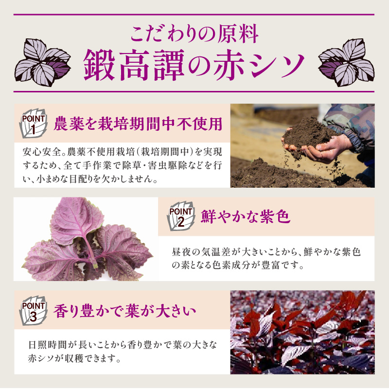 鍛高譚(たんたかたん)の梅酒 1800ml【2本セット】