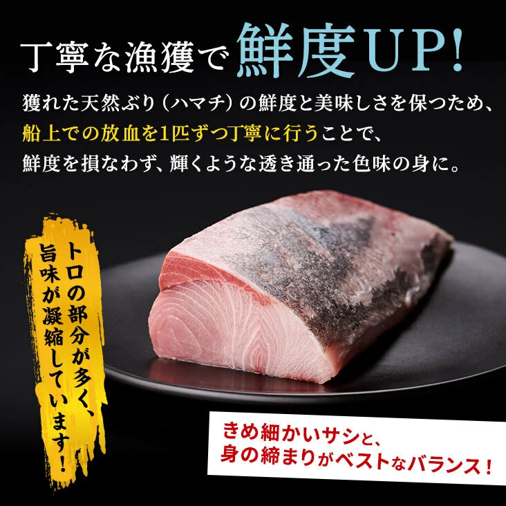 天然ぶり漬け丼(りゅうきゅう)
