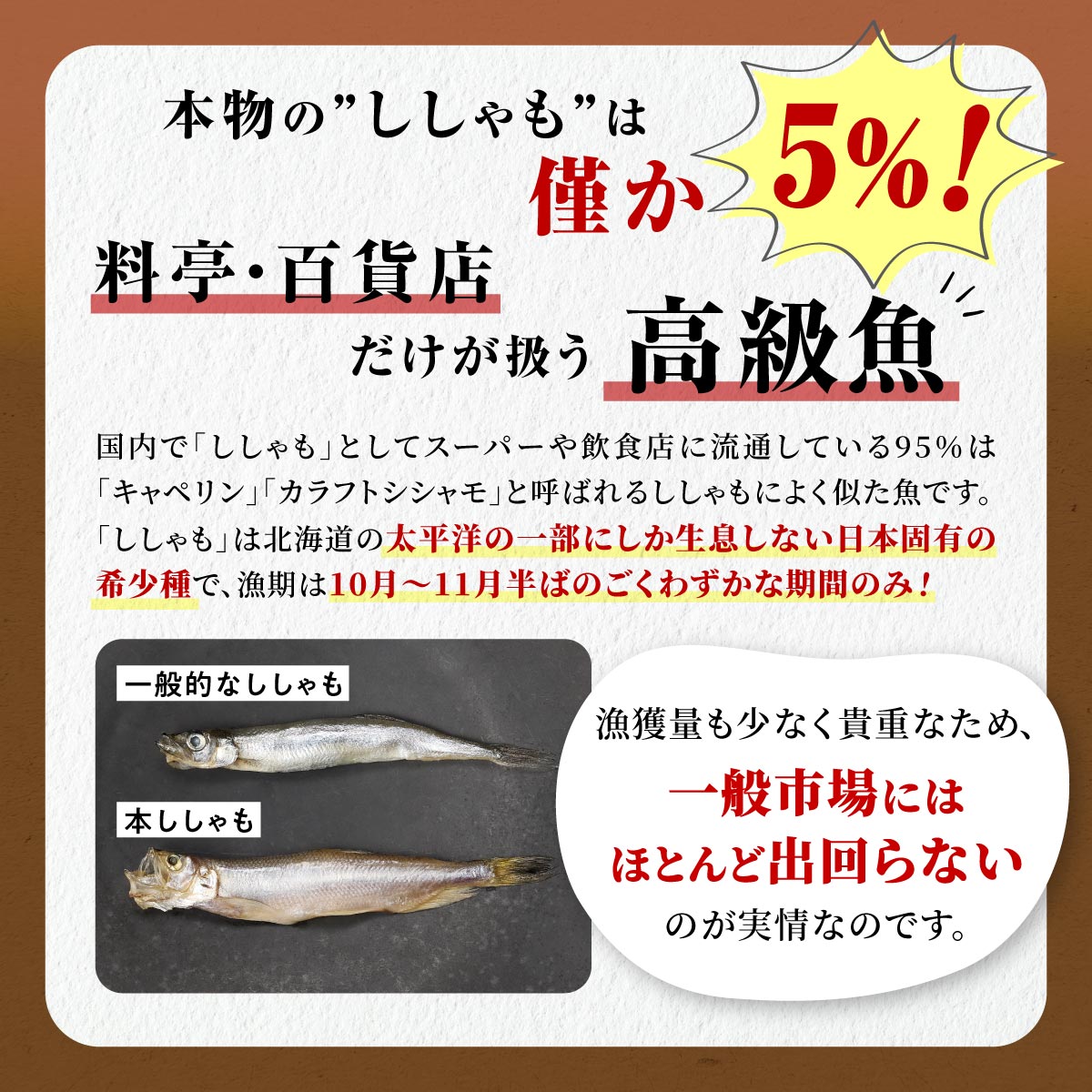 本ししゃも(オス) 20尾