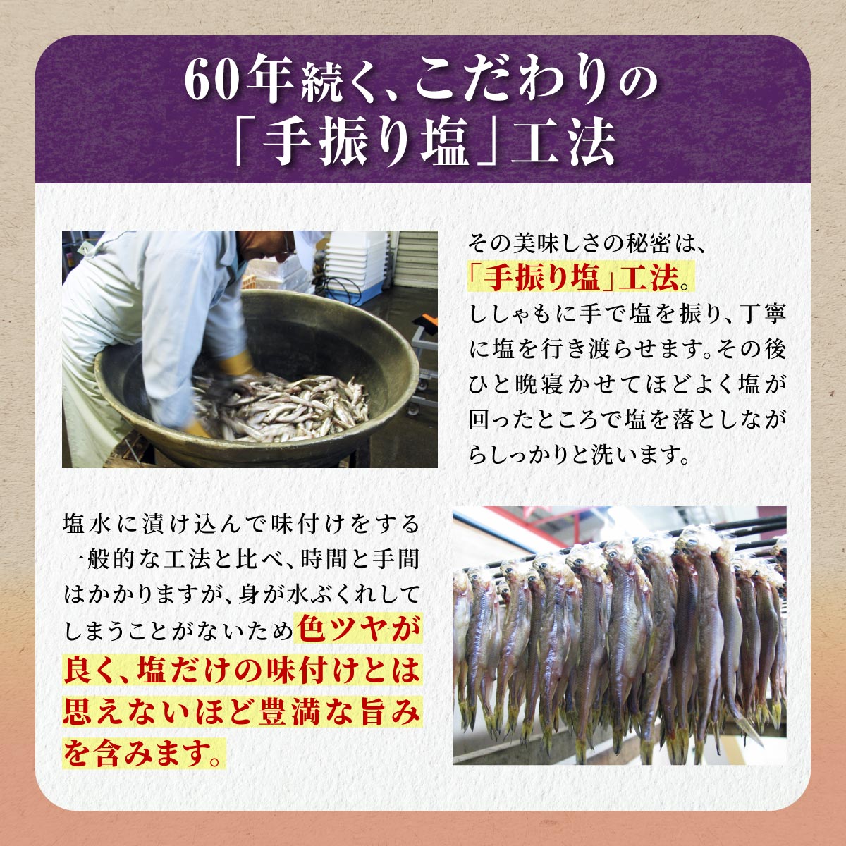 本ししゃも(オス) 20尾