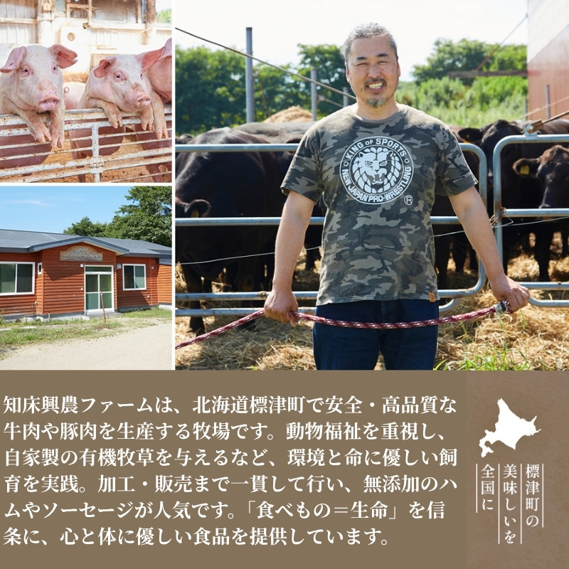＜ 無添加 ・ 無着色 ＞ 北海道産 ハム ・ ウインナー 等 詰め合わせ 1.2kg 国産 人気 おすすめ ギフト セット ハム ベーコン ブロック ソーセージ あらびきウインナー フランクフルト