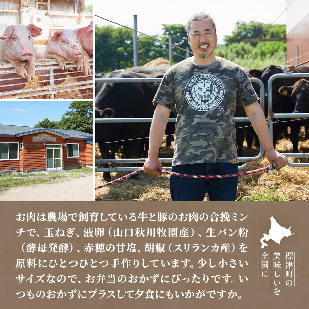 北海道産 生ハンバーグ ミニ 選べる 5~50個 セット ( 5個 × 1~10パック ) 冷凍 手作り ハンバーグ 国産 保存料不使用 牛肉 豚肉 ギフト お弁当 ハンバーグ 安心