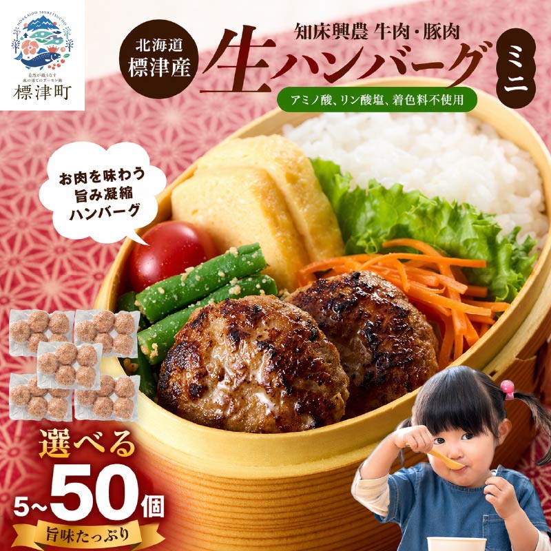 北海道産 生ハンバーグ ミニ 選べる 5~50個 セット ( 5個 × 1~10パック ) 冷凍 手作り ハンバーグ 国産 保存料不使用 牛肉 豚肉 ギフト お弁当 ハンバーグ 安心