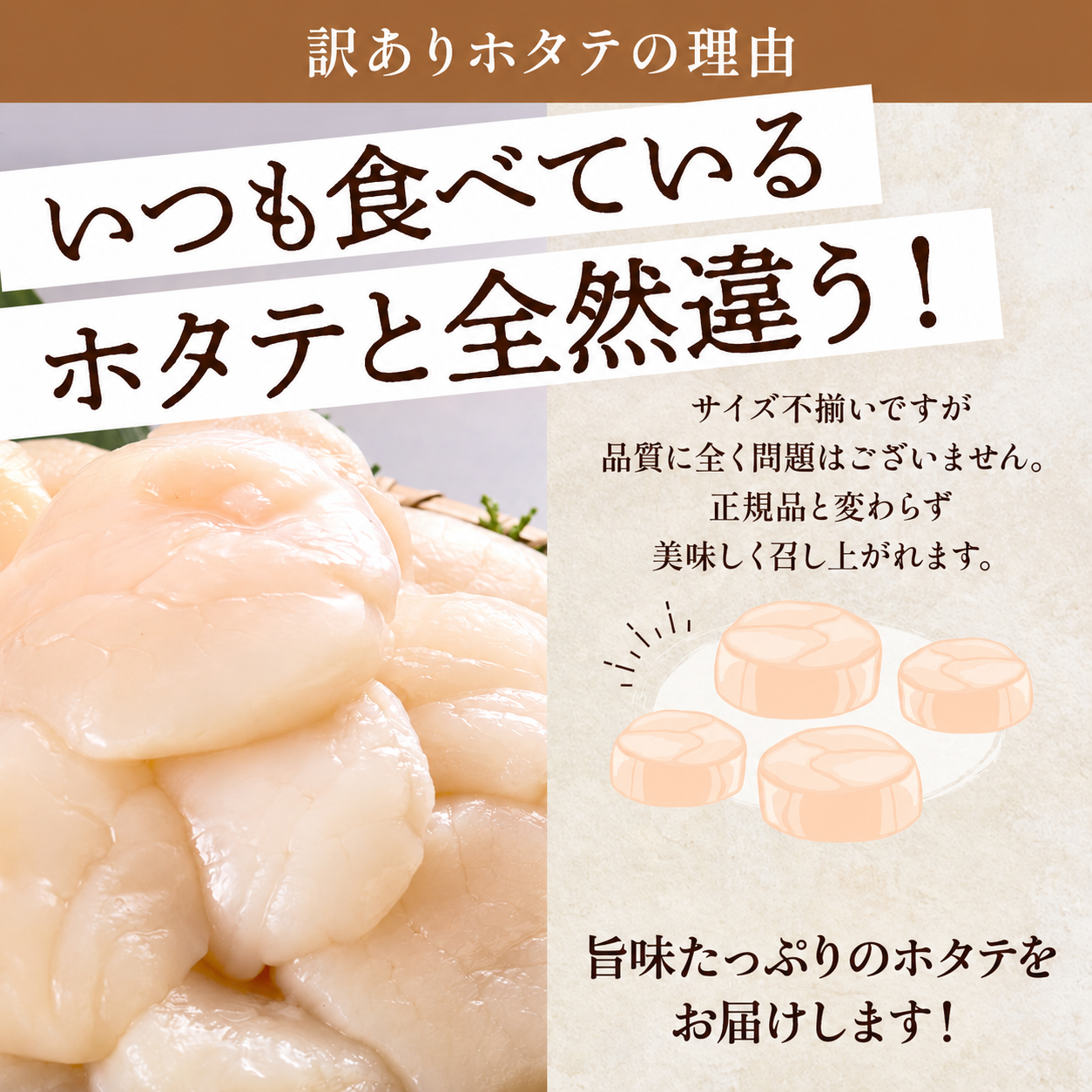 北海道産 ホタテ貝柱 刺身用 選べる 500g~1.5kg ( 500g ×1~3袋 ) 訳あり 不揃い 人気 国産 天然 冷凍 生食 訳ありほたて ホタテ ほたて 帆立 おすすめ 便利 大粒 1kg 北海道 標津町 ふるさと納税ホタテ