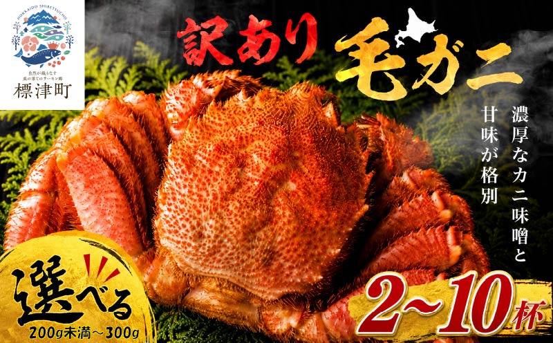 【溢れる旨味！】こだわり品質 毛ガニ 若蟹 選べる 2~10杯 わけあり 国産 北海道 羅臼産 蟹 かに カニ 毛がに 毛蟹 冷凍かに 冷凍カニ 訳あり 訳アリ 北海道 標津町