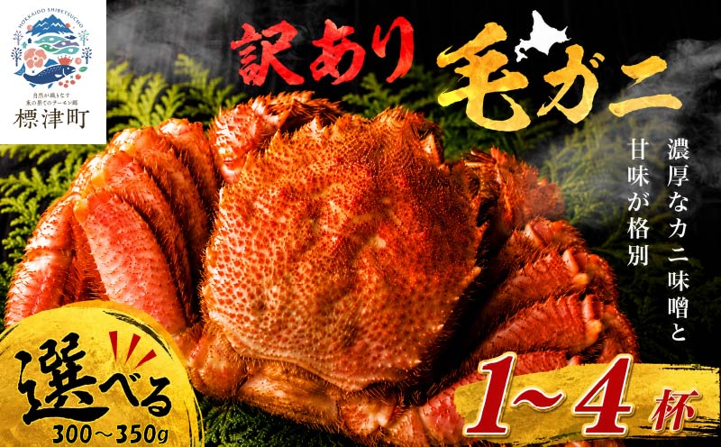 訳あり 本タラバガニ 選べる 約0.7~2.7kg 国産 蟹 かに カニ タラバ 冷凍タラバ  訳アリ 蟹鍋 タラバ蟹 蟹脚 蟹あし タラバカニ  ボイル 北海道産 北海道 標津町