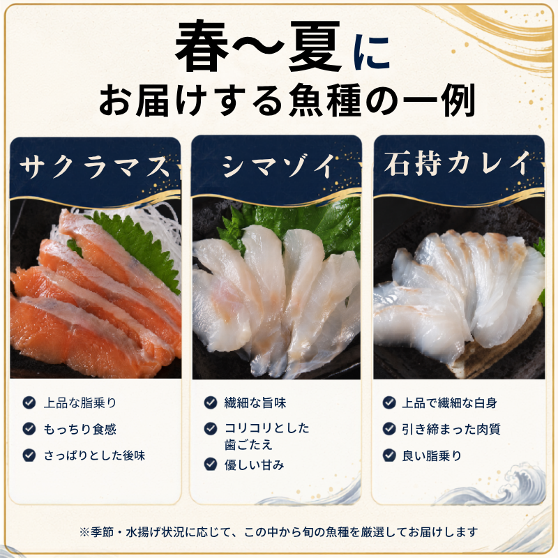 刺身セット 選べる 1~4人前 (150g ~ 700g) × 1回~3回 小分け カット済み 北海道産 秋鮭 国産 新鮮 海産物 定期便 お刺身 刺身 刺し身 さしみ 旬 地物 地魚 北海道 標津町