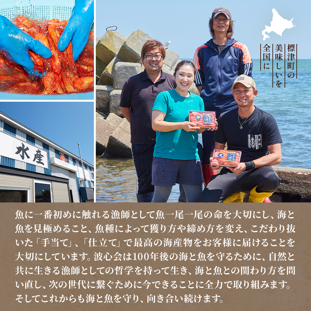 コマイ一夜干し 選べる 2袋 ~ 6袋 (1袋あたり 約250g) 北海道産 干物 おつまみ こまい コマイ 氷下魚 一夜干し 焼き魚 酒 干物 乾物 つまみ お酒 ビール 北海道 標津町