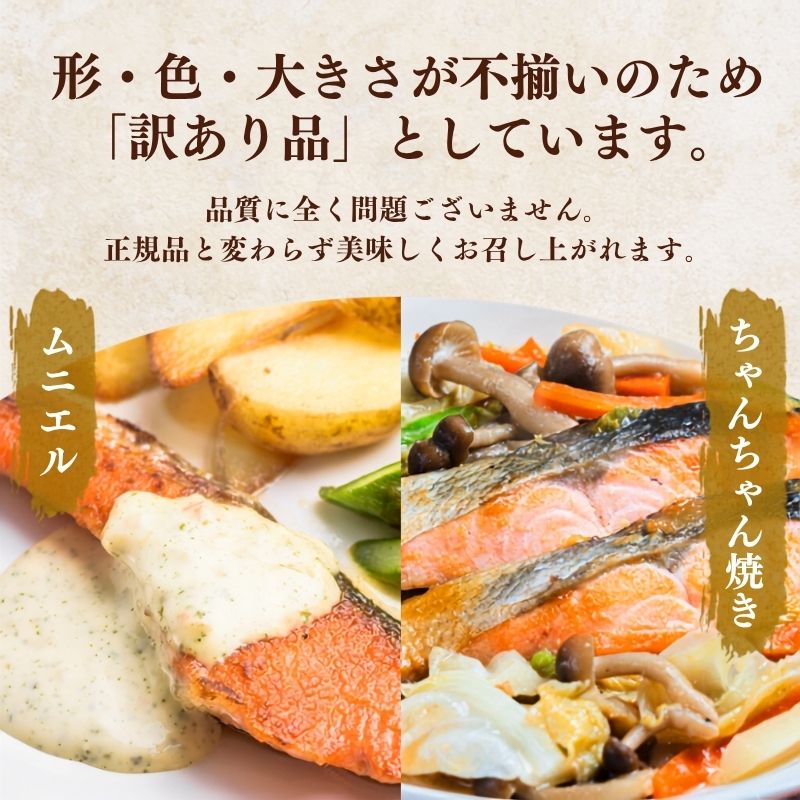 【 訳あり 】北海道産 減塩 鮭 切り身 選べる 600g × 1袋 ~ 3袋 不揃い 人気 おすすめ 天然 サケ さけ 切身 きりみ しゃけ シャケ 冷凍 真空パック パック 小分け