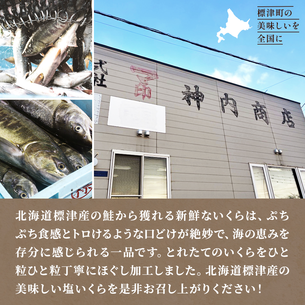 マ印 塩いくら 500g いくら 北海道産 塩漬け 塩漬 塩イクラ 塩 国産 天然 人気 おすすめ いくら人気 さけ サケ 鮭 鮭いくら 鮭イクラ いくら北海道 魚卵 ikura 冷凍 冷凍いくら